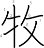 stroke order illustration