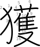 stroke order illustration