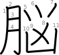 stroke order illustration