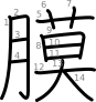 stroke order illustration