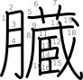 stroke order illustration