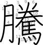 stroke order illustration