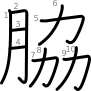 stroke order illustration