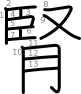 stroke order illustration